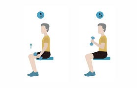 21 Chair Exercises for Seniors: Complete Visual Guide