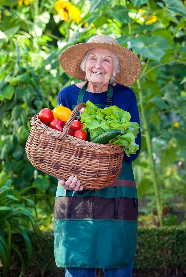 Senior outdoor activities summer gardening