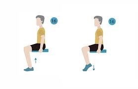 21 Chair Exercises for Seniors: Complete Visual Guide