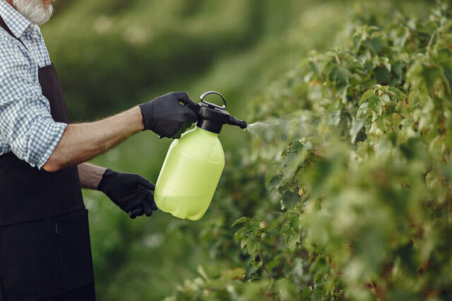 Man spraying pest control chemicals