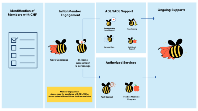 Fall Risk Prevention workflow